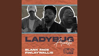 Video thumbnail of "LowKiy - Ladybug (Acoustic)"