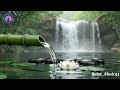 Relaxing Music to Relieve Stress, Anxiety, and Depression 🌿 Calming Piano + Bamboo Water Sounds