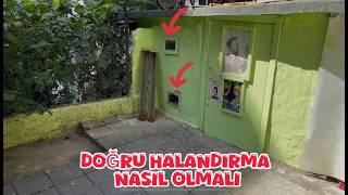 Doğru Kümes Havalandirmasi Nasil Olmali (Kuşlar Son Durum)