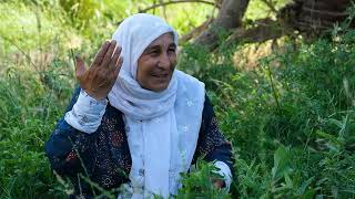 Dengbêj - Fadîle -