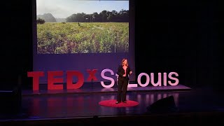 Could perennial crops be the key to soil preservation? | Allison Miller | TEDxStLouis