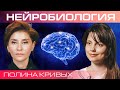 Как прокачать мозг? Полина Кривых