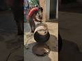Turning a Fuel Drum into Metal Sheets! 🛠️ #Shorts #DIY #MetalWorking