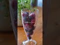 シュワシュワがたまらない♪炭酸フルーツinゼリー