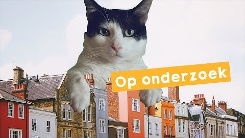 Op onderzoek - Mediamanipulatie | Missie 6