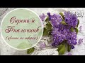 Сирень и Фиалочник из ткани / Fabric lilac and fantasy violet (for scrapbooking)