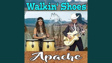 The Last of the Mohicans (Cover Version)