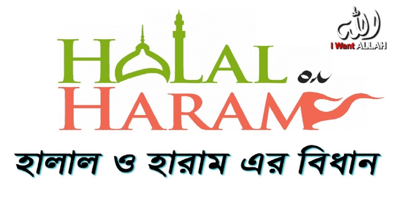 Halal Haram News Green Red.