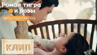 Спасает Её, Хотя Ему Грозит Опасность💞Роман Тигра И Розы【Русская Озвучка】传闻中的陈芊芊【Чжао Лусы,Дин Юйси】