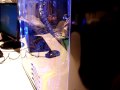 Campus party europe  silent fibreglass watercooled computer mod by riekmaharg2 2