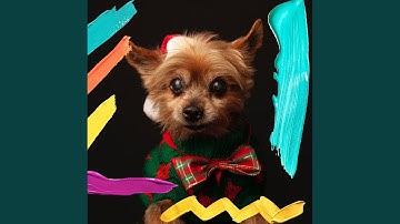 Pulsating Ambience for Dreamy Doggies