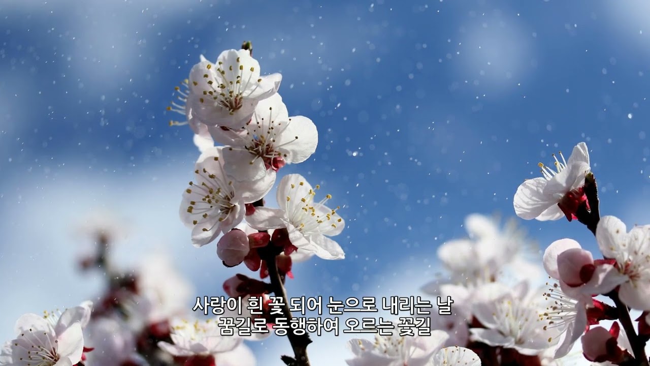 [한국가곡] 이재석 가곡모음곡집2_사랑이 흰 꽃되어 내리는 날_박정해 작사_이재석 작곡_최정숙 메조소프라노_고승희 피아노