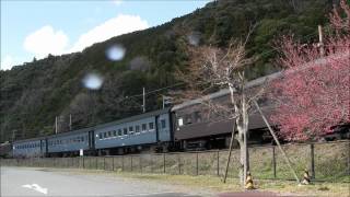 大井川鐵道 SLかわね路2号 C56 44