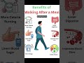 Benefits of Walking After Meal 📖 #englishlanguage #vocabulary #learnenglish #foryou #spokenenglish