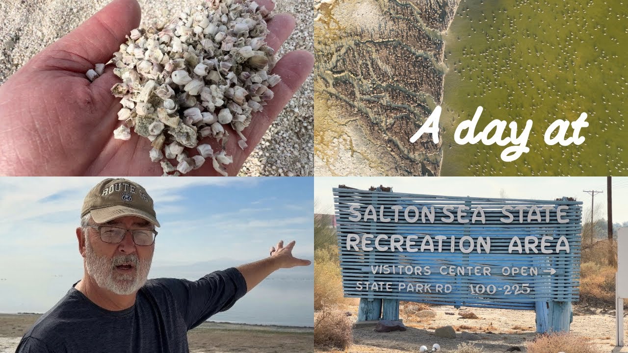 Солтон-Си: трагическая красота калифорнийской пустыни