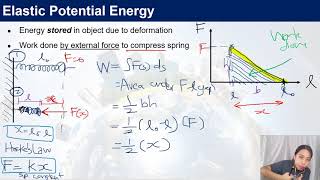 [ARCHIVED] Elastic Potential Energy | AS Work Energy Power | Cambridge A Level Physics