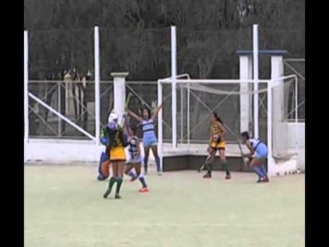 hockey jugada repeticion canal 7 teletica