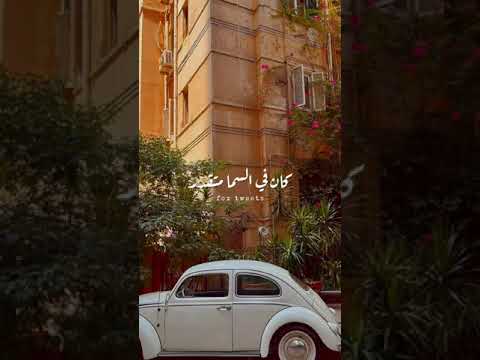 بيني وبينك حب كبير
