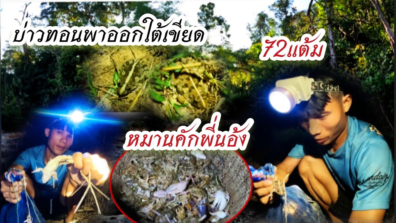 28 กุมภาพันธ์ ค.ศ. 2026ฝนตกไหม่บ่าวทอนพาออกใต้เขียดหมานสุดๆพี่นอ้งຝົນຕົກໄຫມ່ອອກກ້ານຂຽດຫມານສຸດໆ