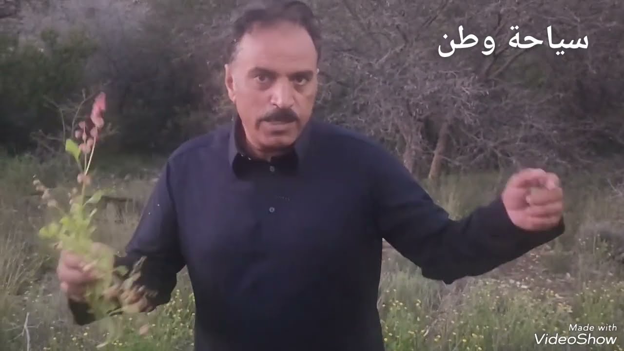 التراث النباتي في بداية فصل الربيع بمنطقة الباحة