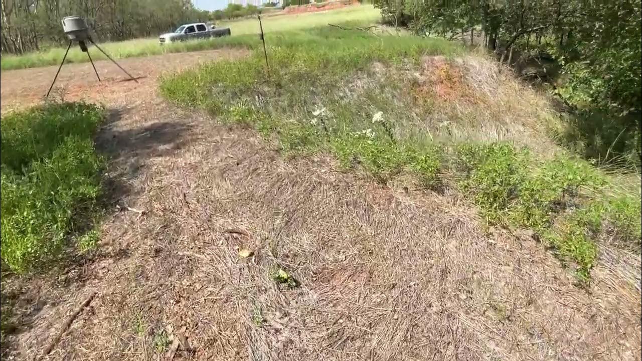 Setting up for Archery season YouTube
