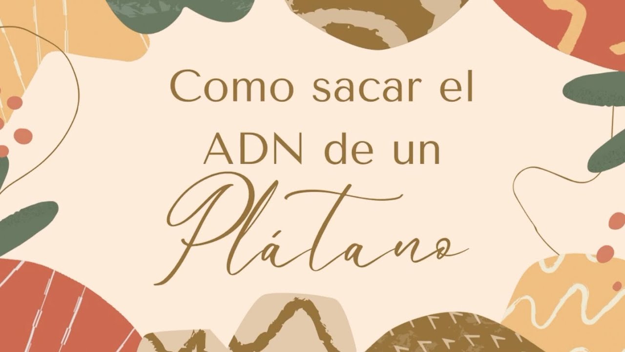 cómo sacar el ADN de un plátano - YouTube