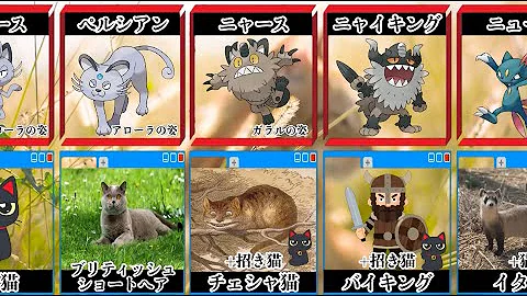 ポケモンとそのモデル 比較 猫系ポケモン Pokemon Comparison Mp3
