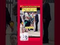 شيكورات الجزائر
