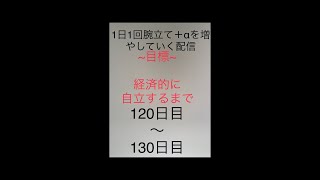 1日一回腕立て+αを増やして行く配信123日目