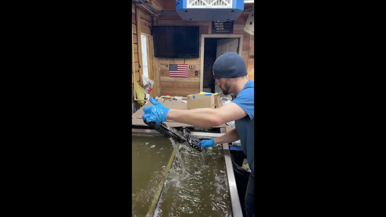 Water transfer film onto rifle stock 