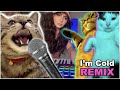 Im cold cat song  singing cat catchy tune