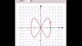 Vector Field Acting on a Curve