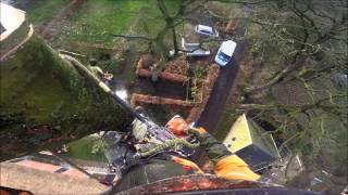 cutting down a 72 feet big tree, gopro hero black