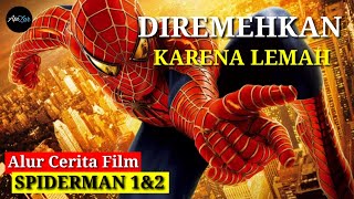 AWAL MULA PETER DIGIGIT LABA LABA HINGGA JADI SPIDERMAN | Alur Cerita Film SPIDERMAN 1&2