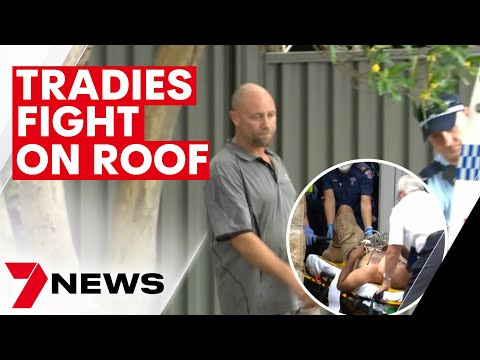 Tradies fight on a bellevue hill rooftop | 7news