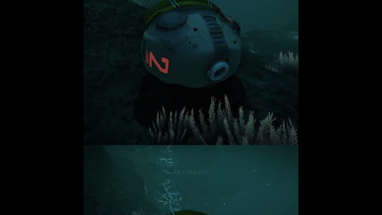 Will They Make It Back 