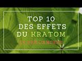 Kratom  10 faits sur le kratom