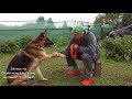 Как научить собаку давать лапу.