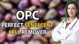 OPC: Safe Senescent Cells Removal - Longevity Supplement Review