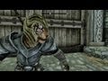 Skyrim, tiger vs the world WARNING GRAPHIC CONTENT!
