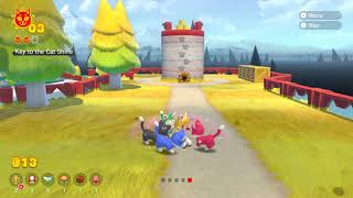 bowsers fury secret hidden easter egg!!!!