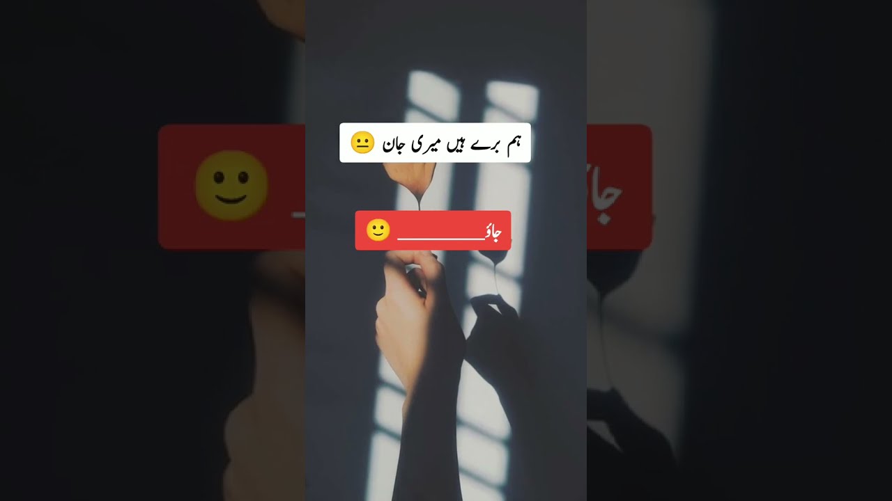 A Poet's Soul: A Cinematic Exploration of Spoken Word Poetry | Quick Clips