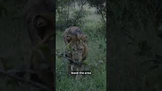 Red Roads Final Days?