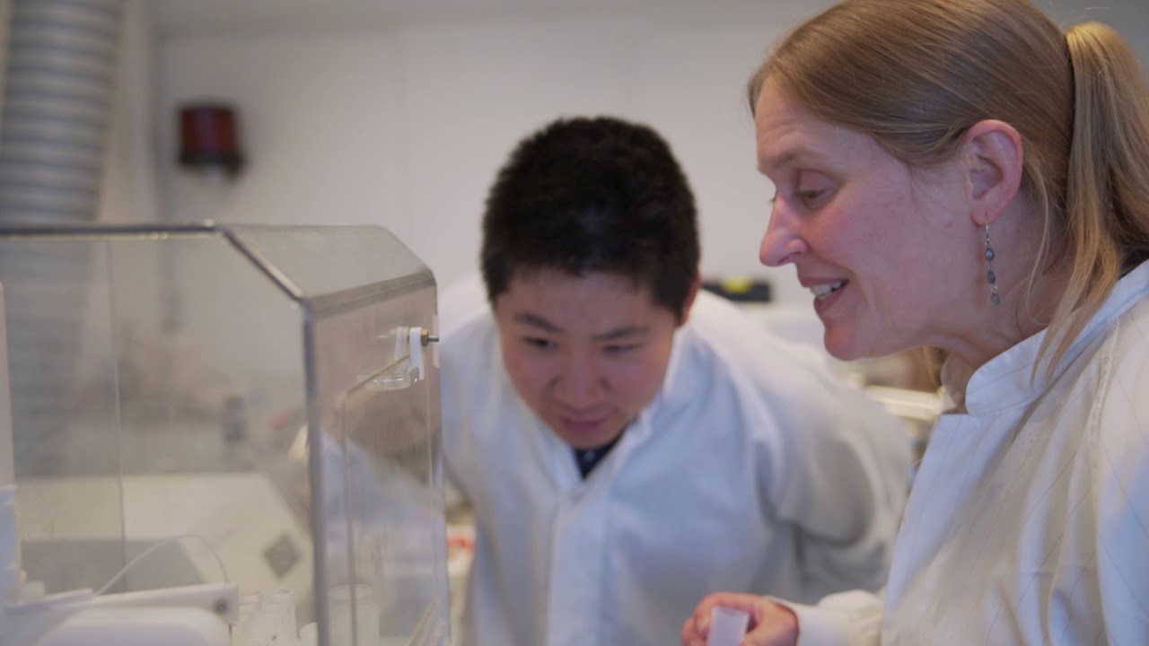 Vinciane Debaille - ULB, une recherche internationale