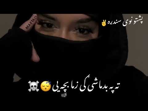 پشتو نوی سندره Pashto New Song ته په بدماشی کی زما بچی یی زه دی پلار یم
