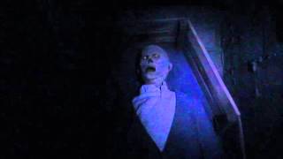 Flashlight Fright Nights Promo