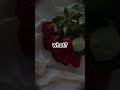 ... #kawaii toca | love story indila |trending |