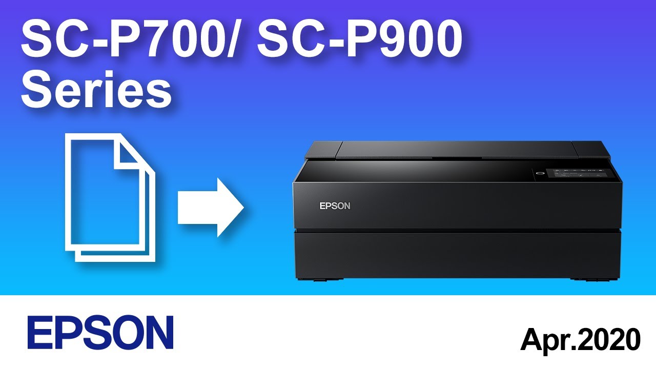 Loading Paper (Rear Paper Feeder)（Epson SCP700/SCP900 Series) NPD6505