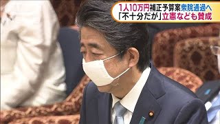 10万円現金給付など　補正予算案がきょう衆院通過へ(20/04/29)