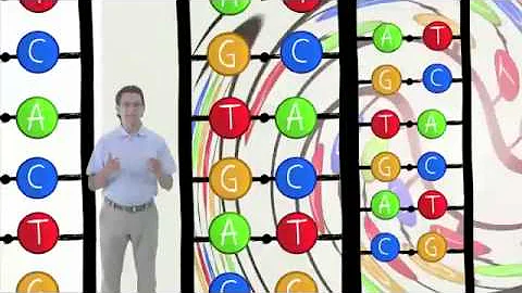 ¿Cuál es la enzima que separa el ADN de cadenas dobles en cadenas simples?